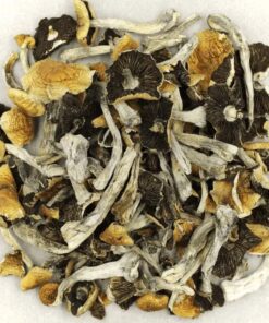 Kup PES Hawaiian Magic Mushrooms - Najwyższa Jakość Grzybów Hawaijskich